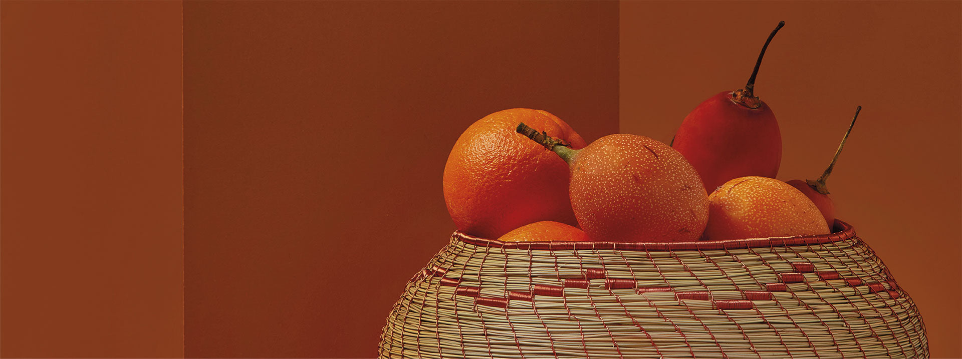 Artesanía mágica que eleva<br> y transforma cada espacio.